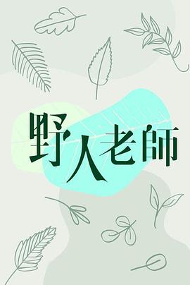 野人老师海报