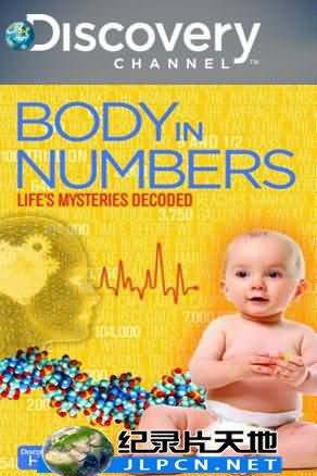 人体密码 Body in Numbers海报