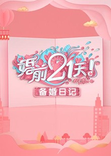 婚前21天 备婚日记海报